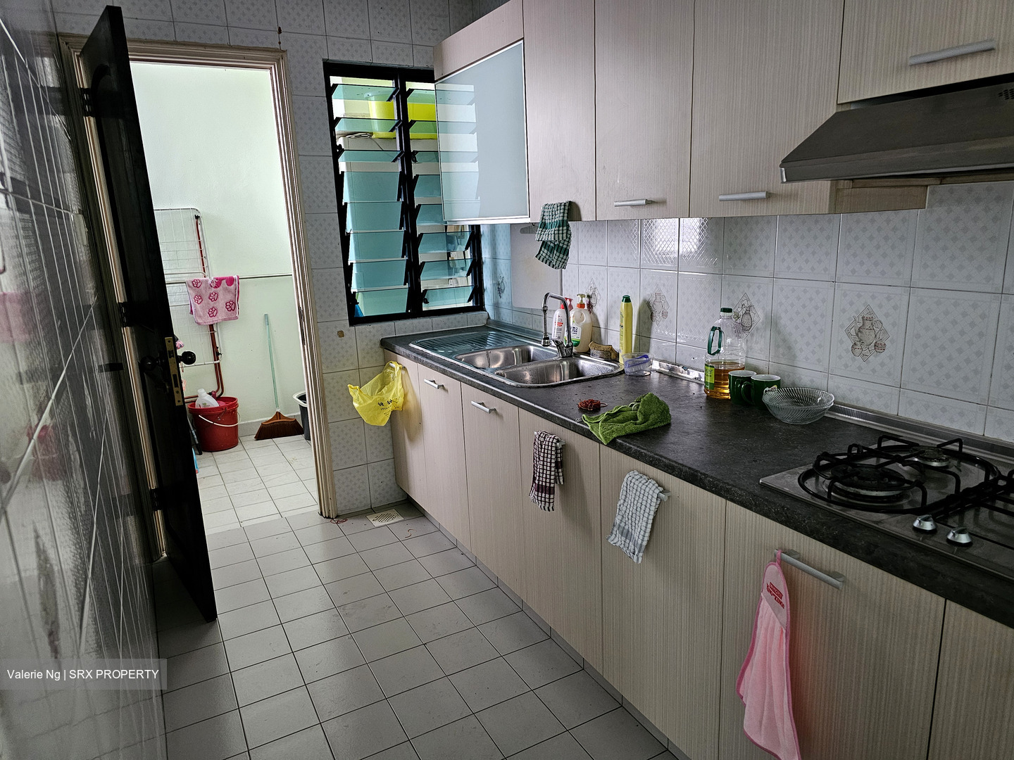 Hume Park I (D21), Condominium #483242141